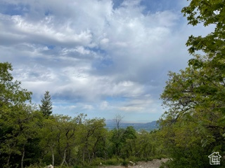 View of mountain backdrop featuring a heavily wooded area