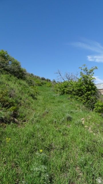 View of undeveloped land