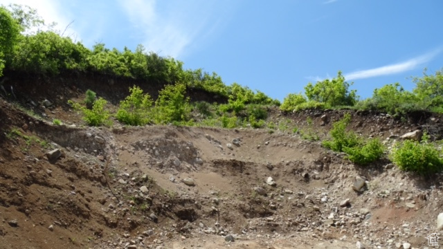 View of nature