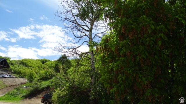 View of undeveloped land