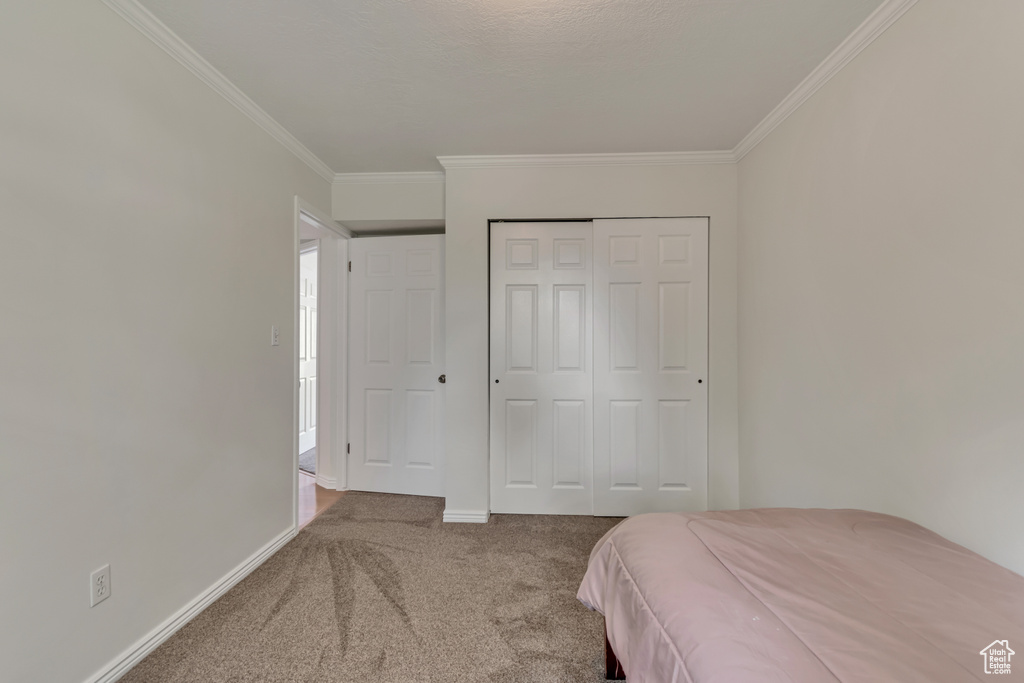 Bedroom featuring carpet floors, ornamental molding, a closet, and baseboards