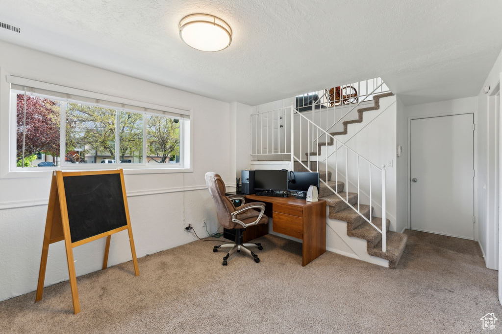 View of carpeted office