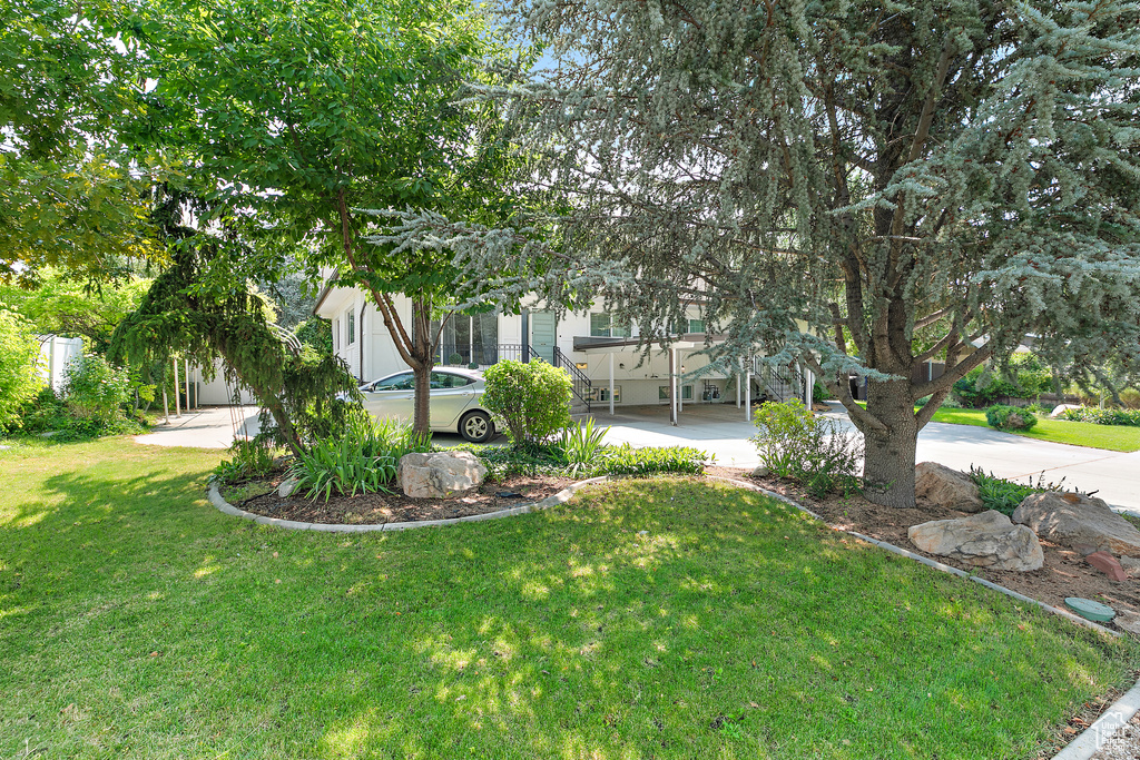View of yard with driveway, a porch, and a carport