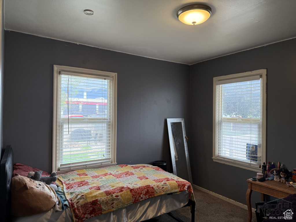 Bedroom with multiple windows, carpet, and baseboards