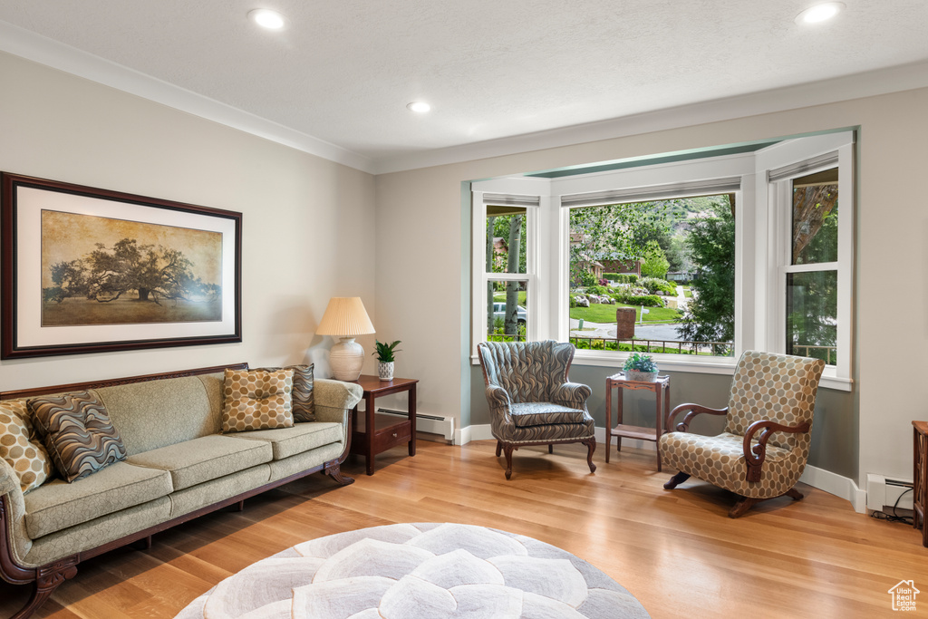 Living area featuring baseboard heating, wood finished floors, recessed lighting, ornamental molding, and baseboards