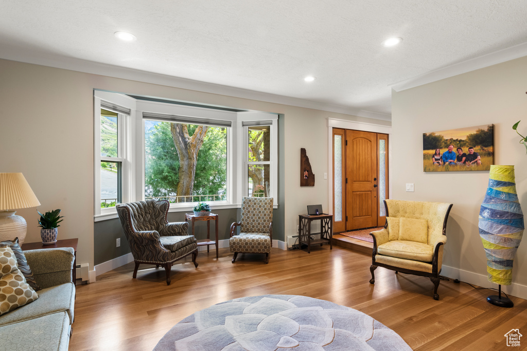 Living area with recessed lighting, wood finished floors, baseboards, crown molding, and a baseboard radiator