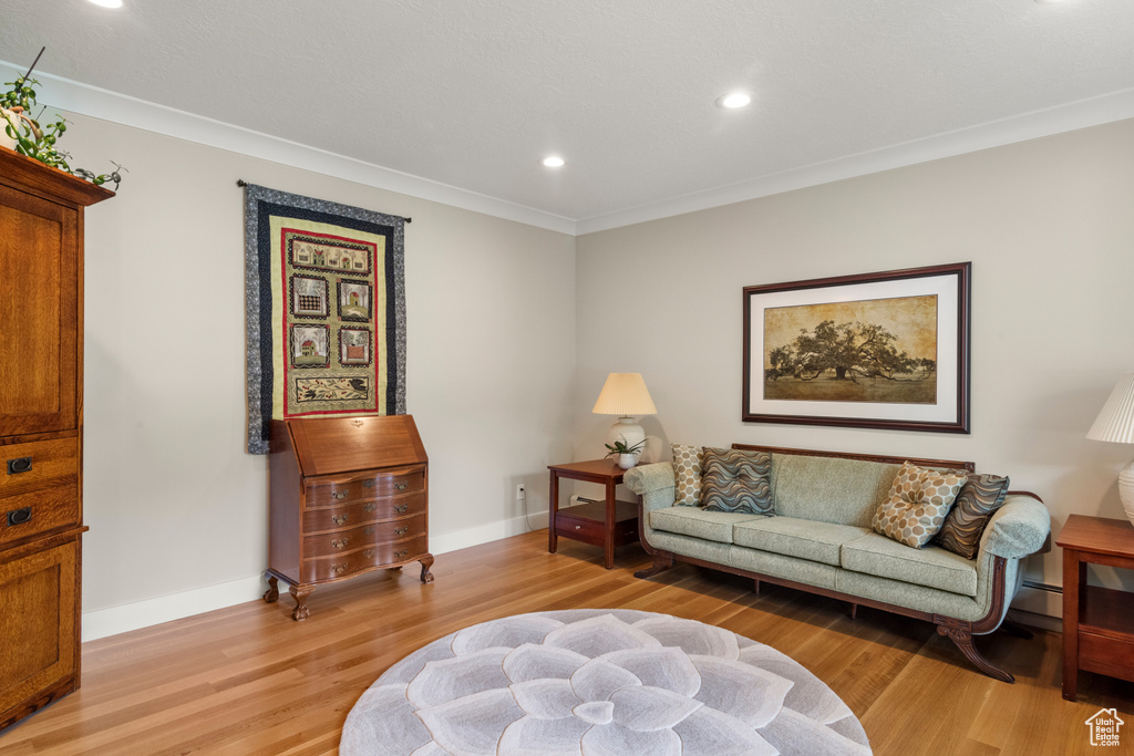Living room featuring light wood finished floors, crown molding, baseboards, recessed lighting, and baseboard heating