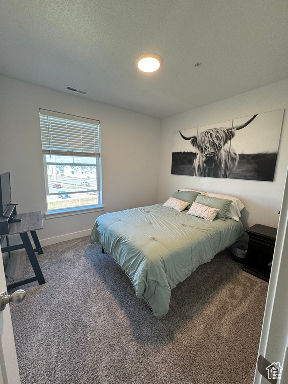 Bedroom with carpet flooring, baseboards, and visible vents