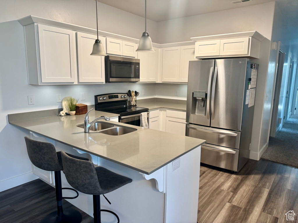 Kitchen with a peninsula, appliances with stainless steel finishes, dark wood-style flooring, and a sink