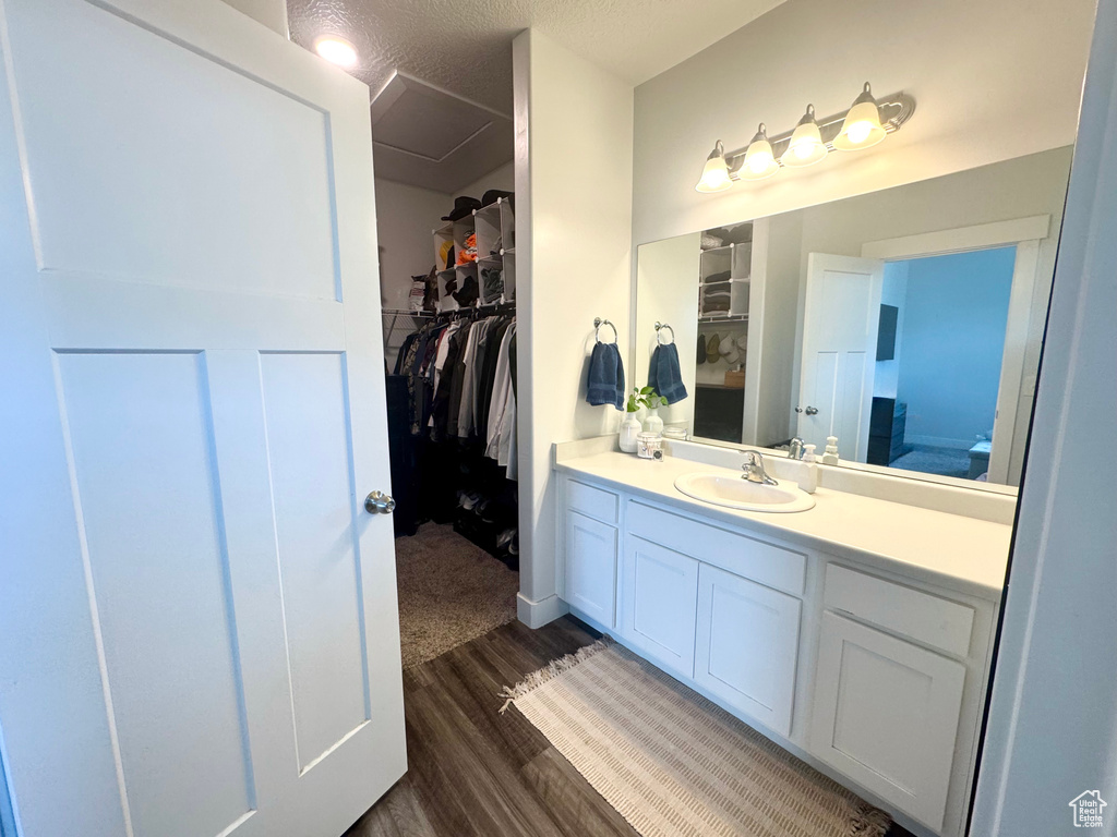 Bathroom with wood finished floors, vanity, and a spacious closet