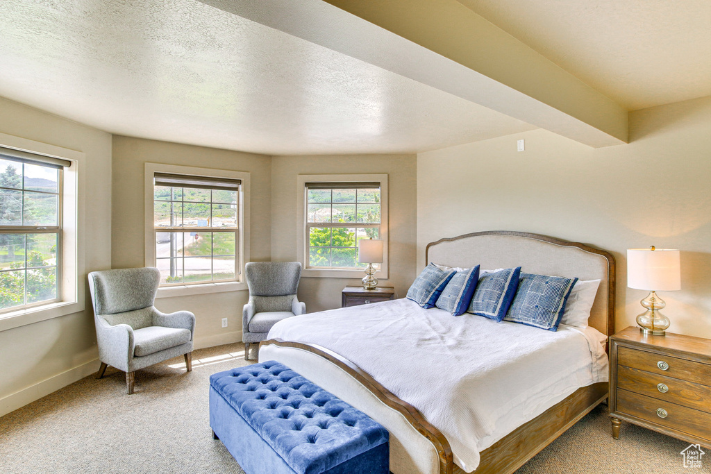 Bedroom with a textured ceiling, carpet floors, and baseboards