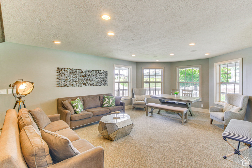 Living area featuring carpet flooring, a textured ceiling, baseboards, and recessed lighting