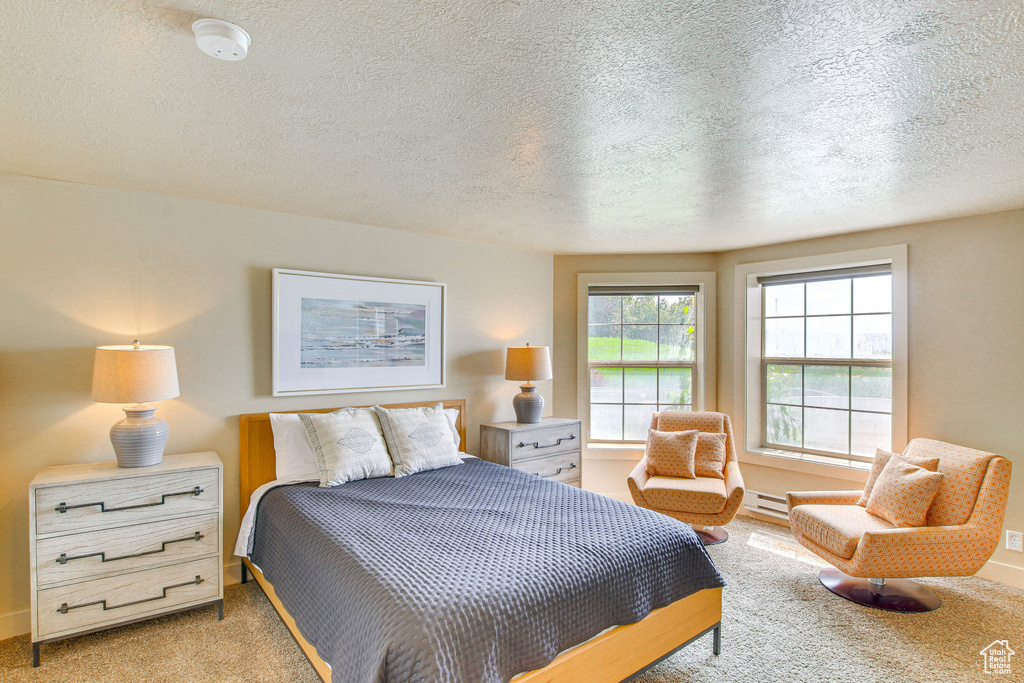 Bedroom featuring light colored carpet, a textured ceiling, and baseboards