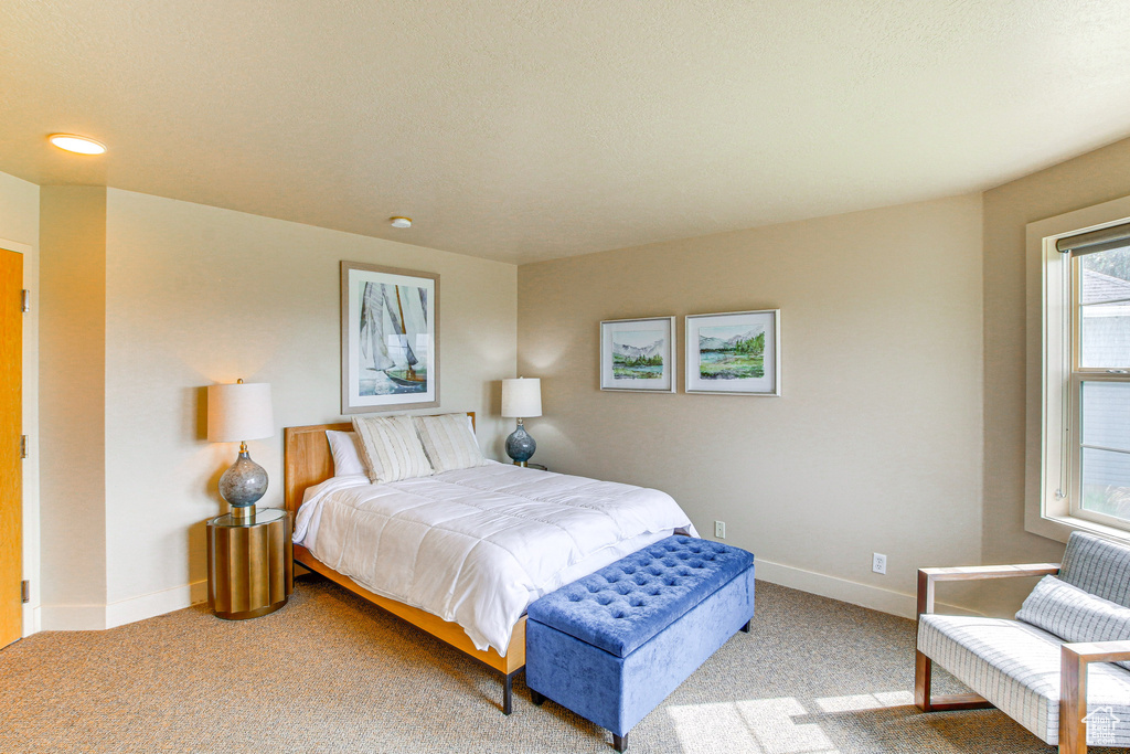 Bedroom with baseboards and carpet floors