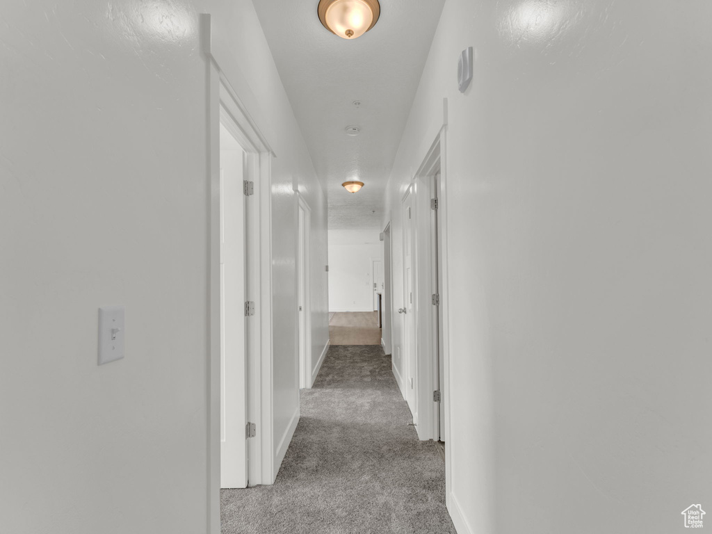 Hallway featuring carpet and baseboards