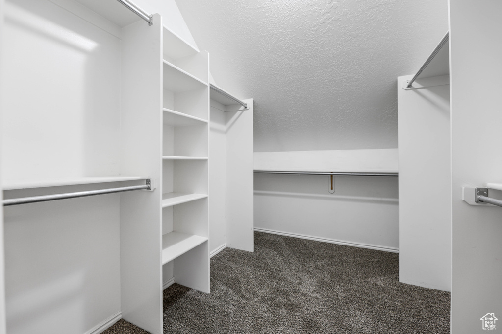Spacious closet with carpet