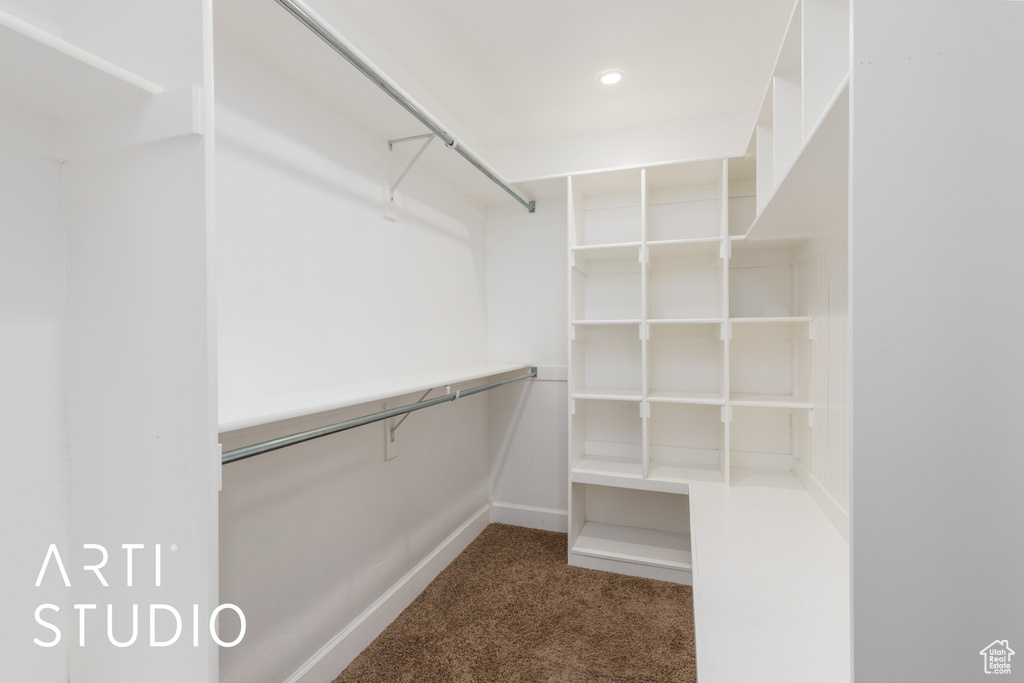 Spacious closet featuring carpet