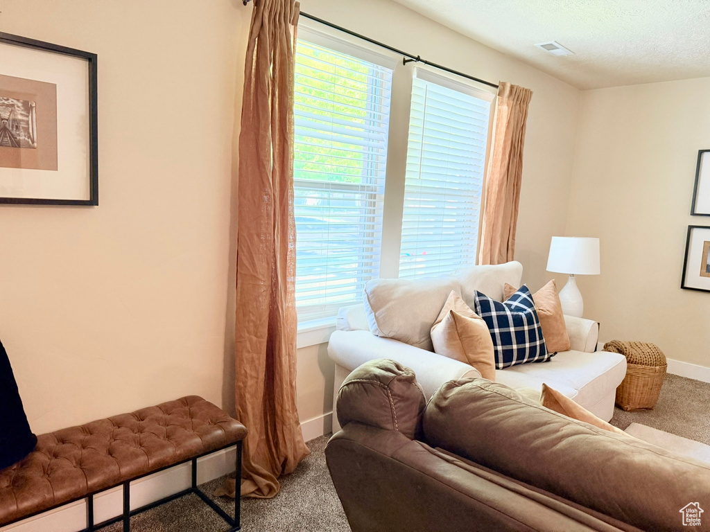 Carpeted living area featuring baseboards