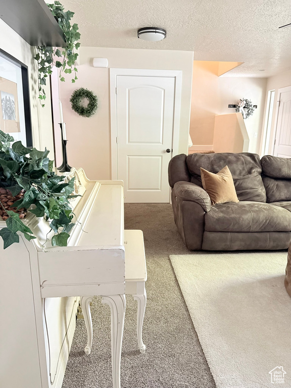 Carpeted living room with a textured ceiling