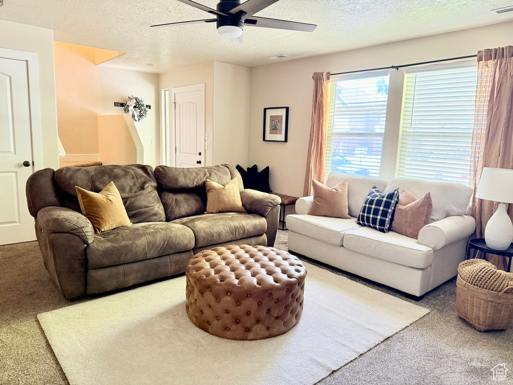 Living area with a ceiling fan, carpet floors, and a textured ceiling