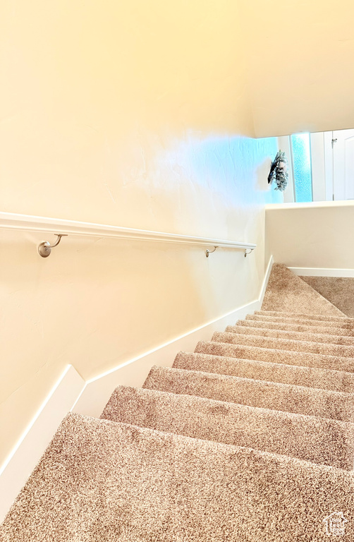 Staircase featuring carpet flooring