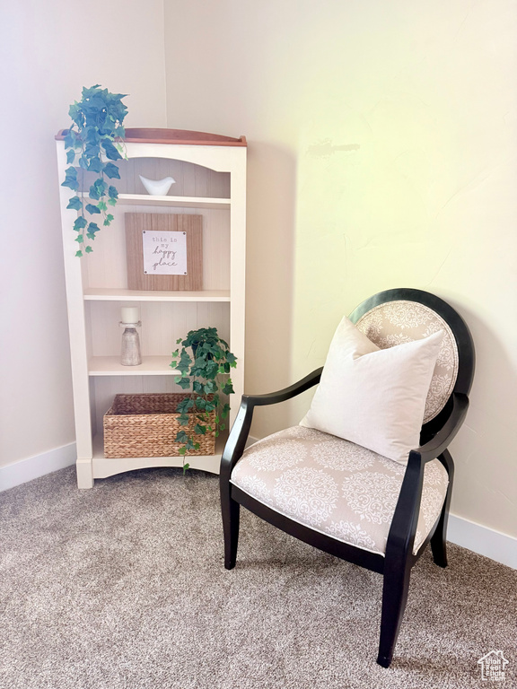 Living area with carpet floors