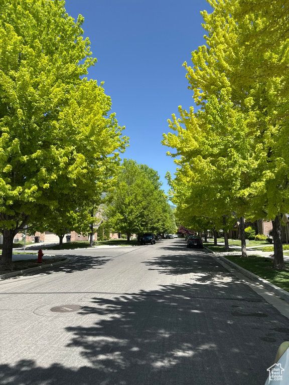 View of asphalt street with curbs and sidewalks