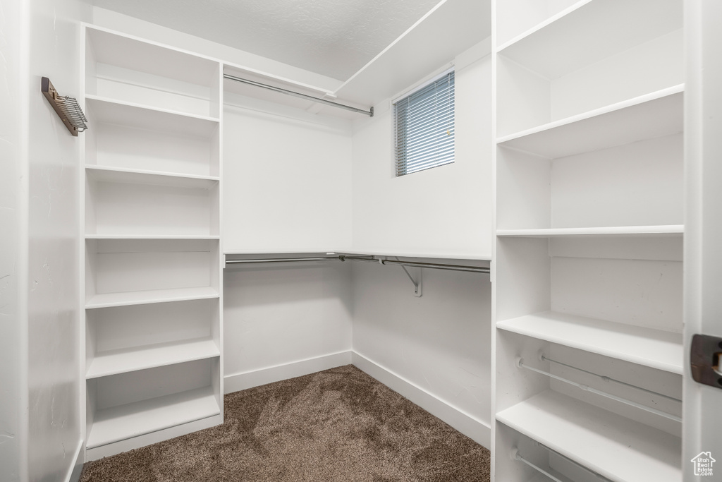 Walk in closet with dark colored carpet