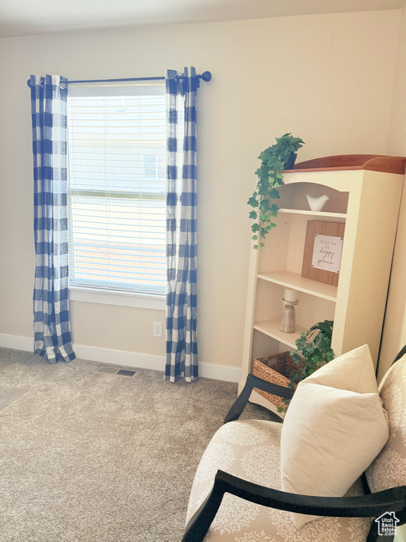 Sitting room with carpet flooring