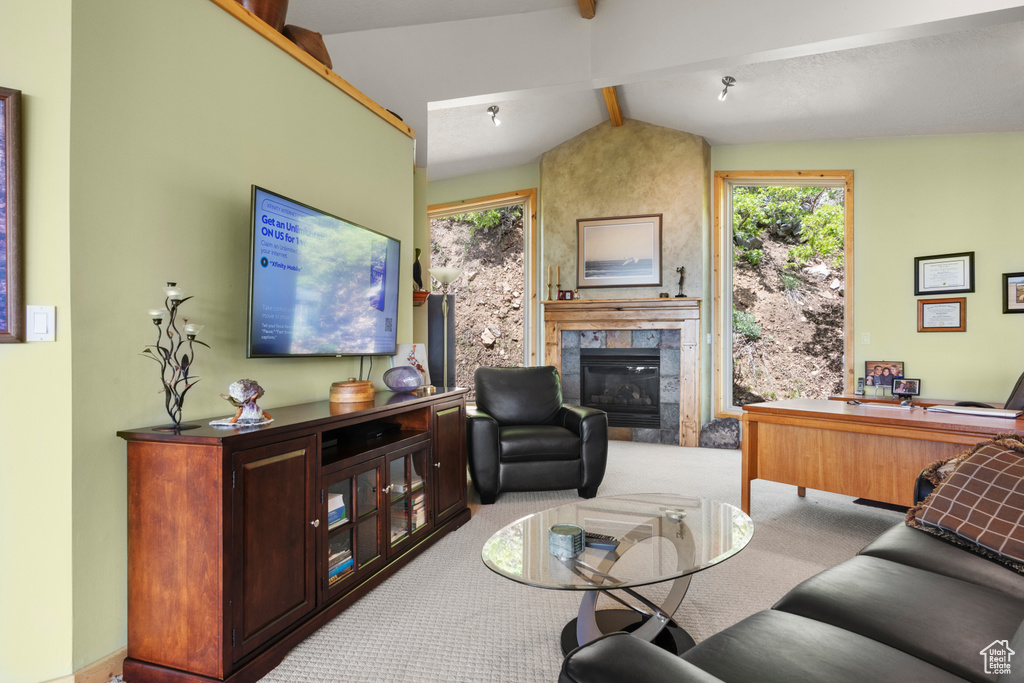 Living area with healthy amount of natural light, a fireplace, and carpet floors