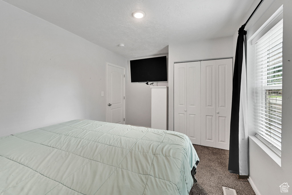 Carpeted bedroom with a closet, baseboards, and a textured ceiling