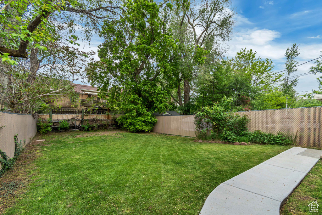View of yard