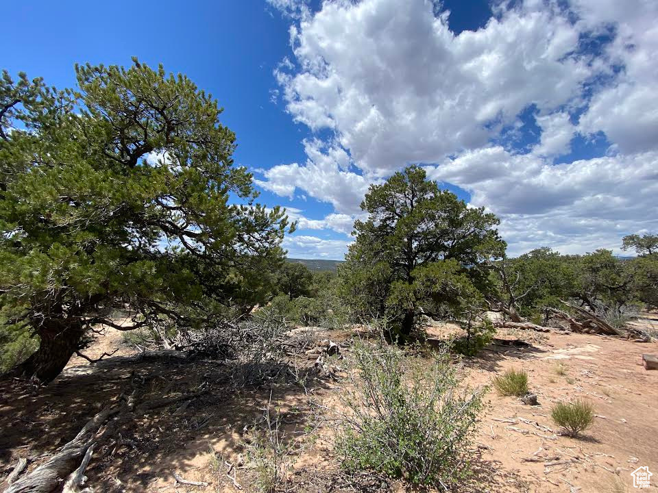 View of landscape