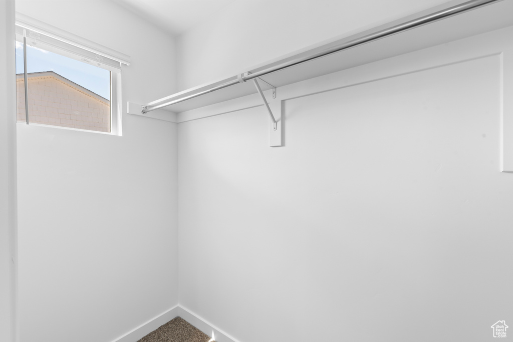 Spacious closet featuring carpet floors