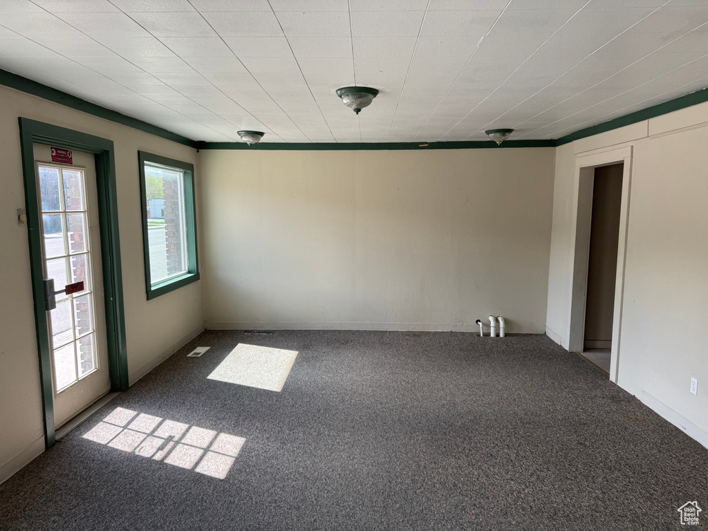 Unfurnished room featuring carpet floors
