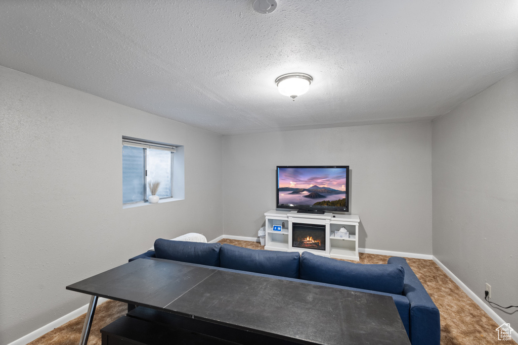 Living area with a textured ceiling, carpet, baseboards, and a lit fireplace