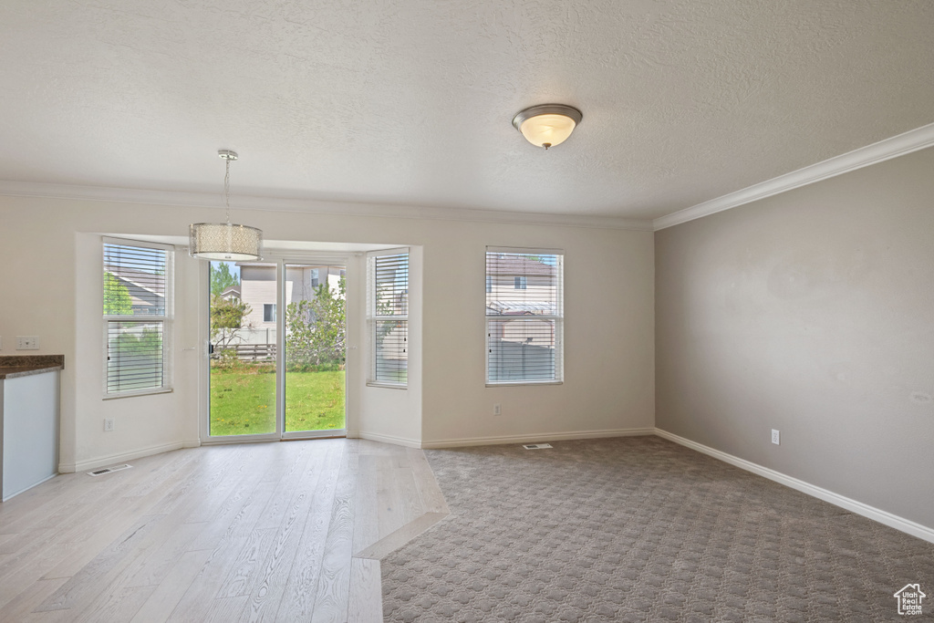 Spare room with crown molding, wood finished floors, a textured ceiling, and baseboards