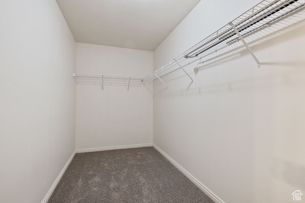 Walk in closet with dark carpet
