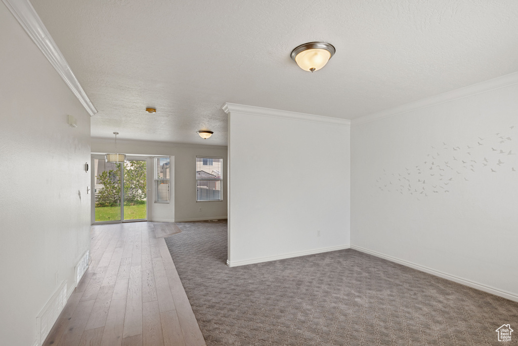 Spare room featuring ornamental molding, baseboards, and wood finished floors