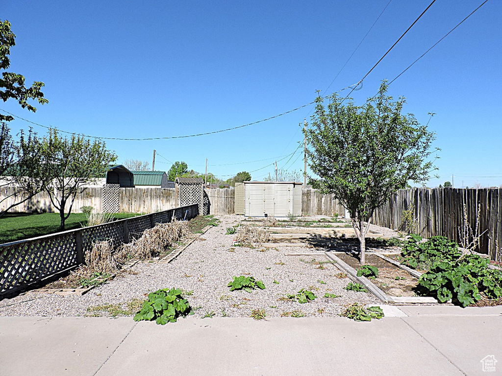 Fenced backyard with mail area