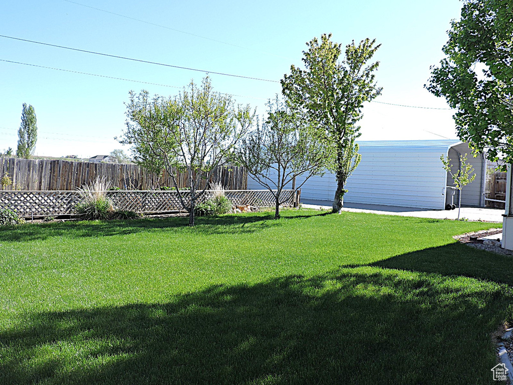View of yard