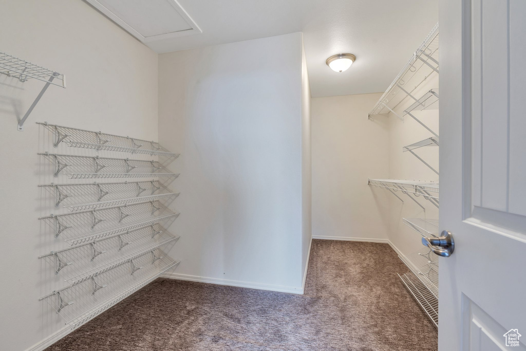Walk in closet featuring carpet floors