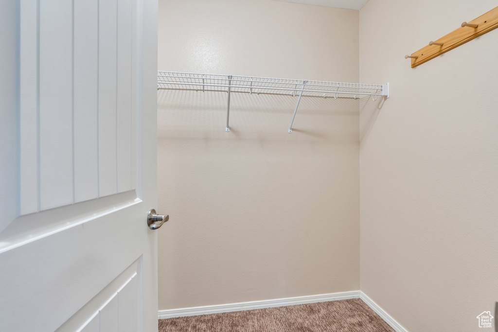 Spacious closet with carpet floors