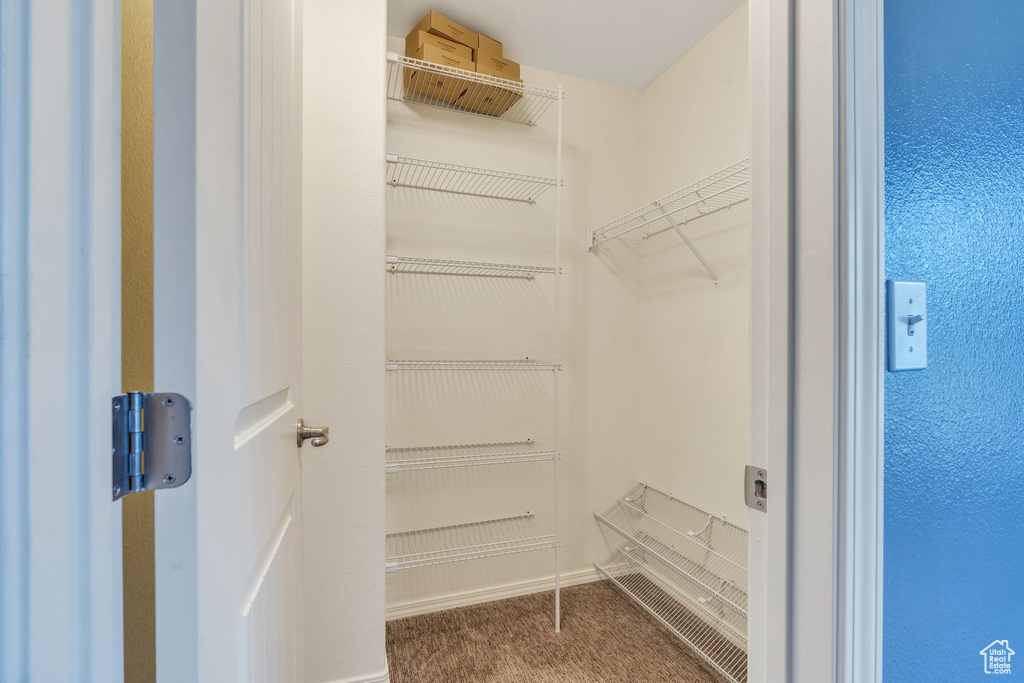 Spacious closet featuring carpet flooring
