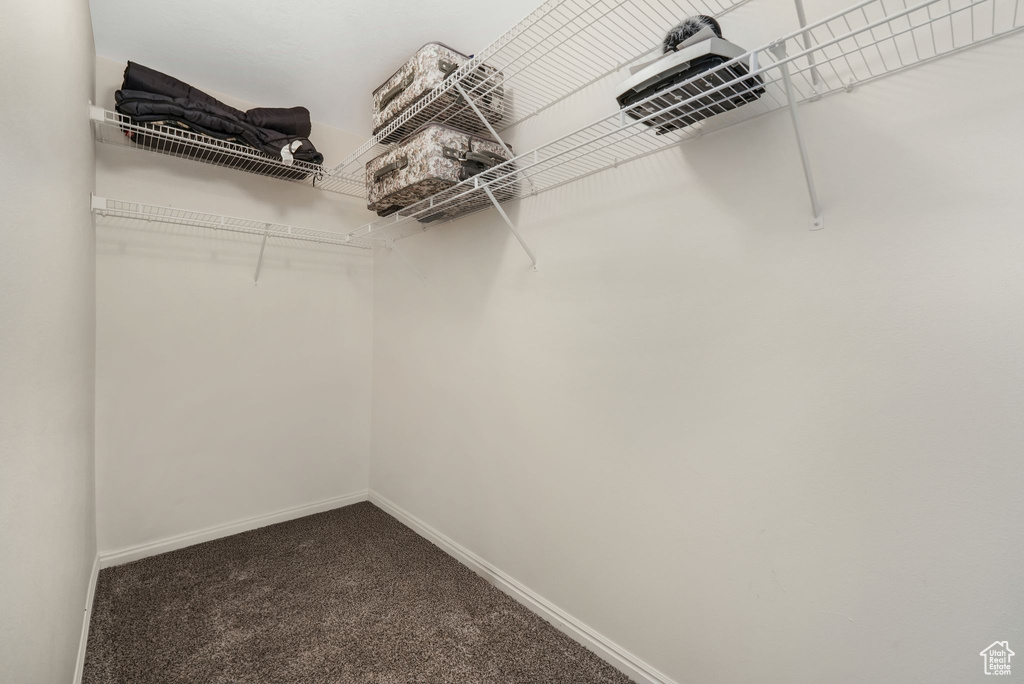 Spacious closet featuring dark carpet