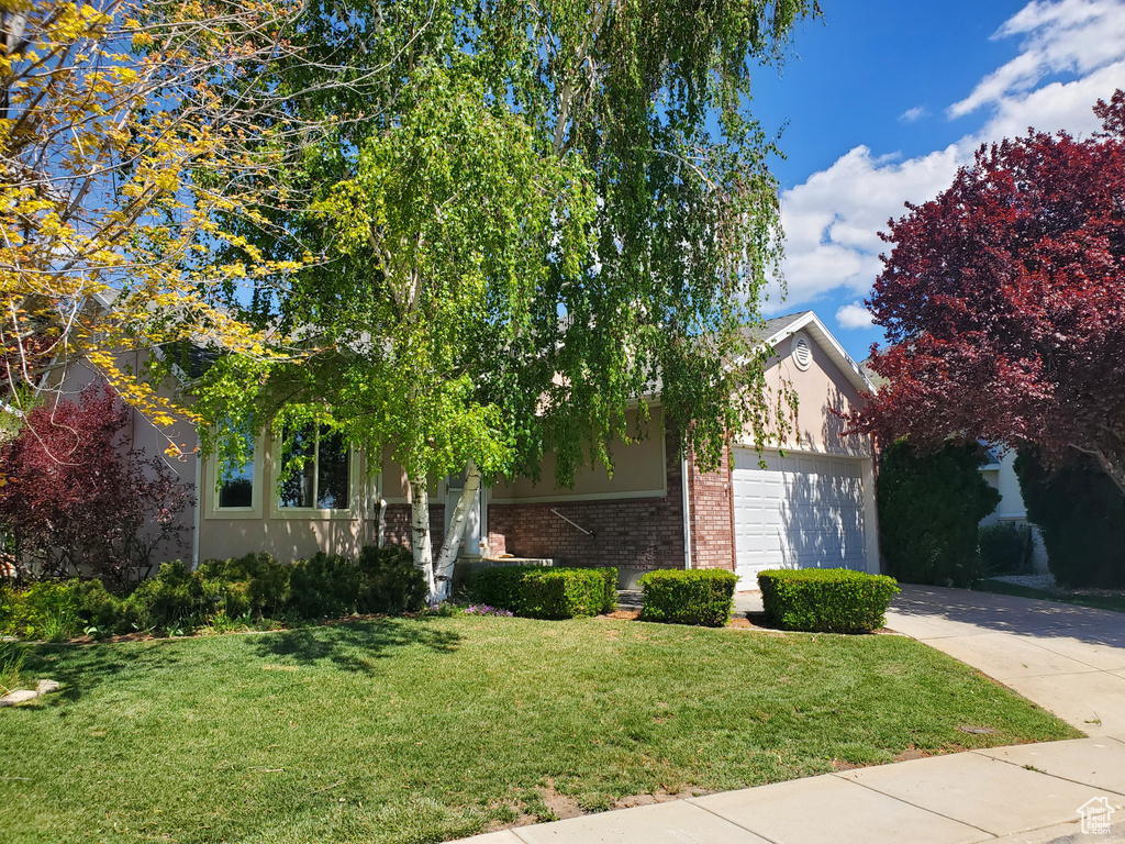 View of property hidden behind natural elements featuring brick siding, driveway, an attached garage, a front yard, and stucco siding