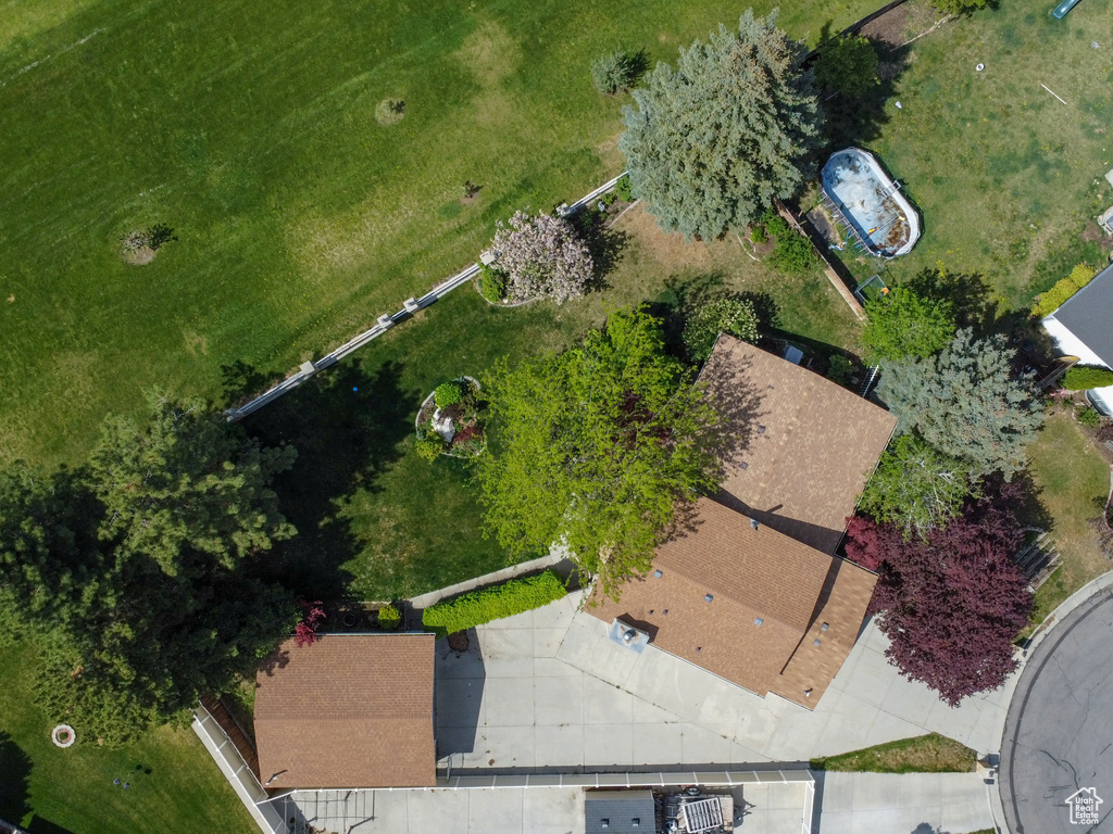 Bird\'s eye view