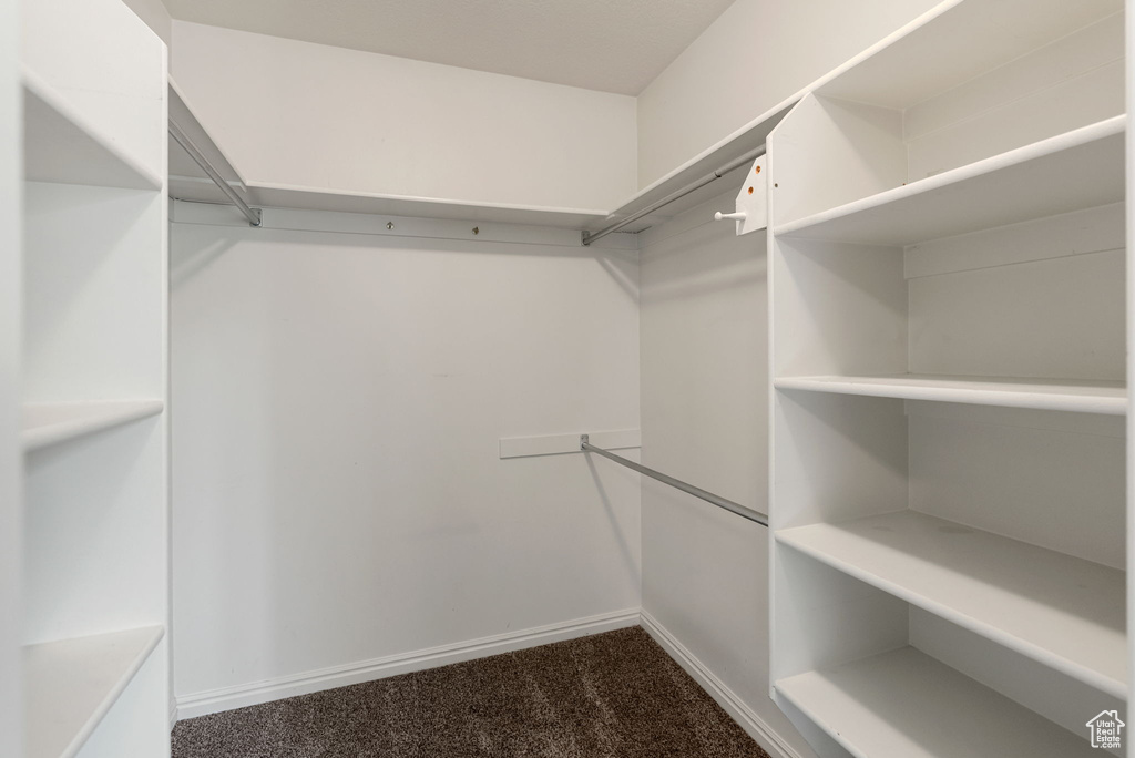 Walk in closet featuring dark colored carpet