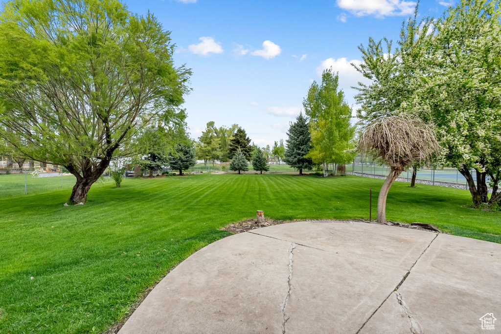 View of green lawn