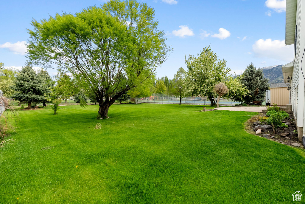 View of yard